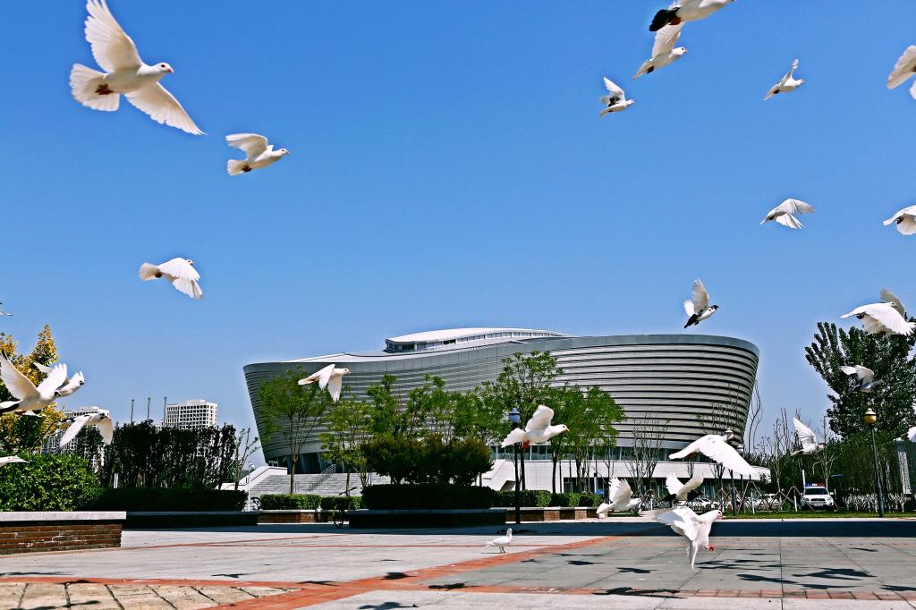 官宣！学校新增“会计学”“光电信息材料与器件” 两个本科专业